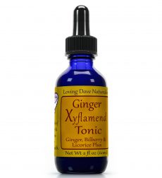 Ginger Xflamend Tonic 2 oz (60 ml)